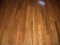 Spotted Gum - Character Grade